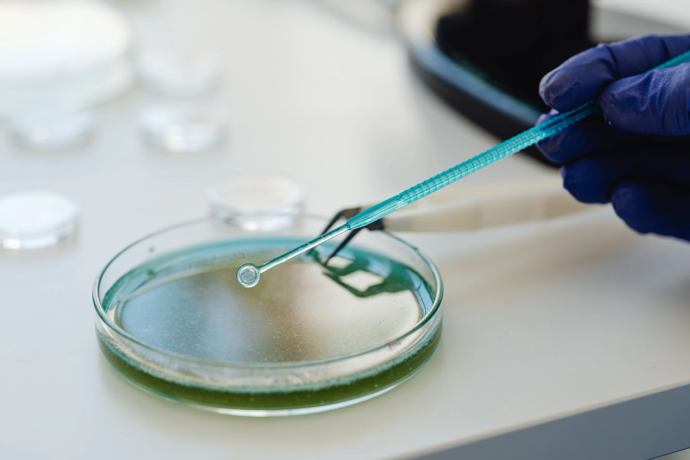 Scientist using a pipette for laboratory cell-culture research